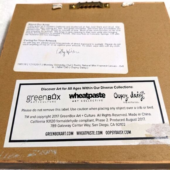 NWOT Framed 6x6 Whimsical Owl Painting by Oopsy Dasiy - Picture 9 of 9